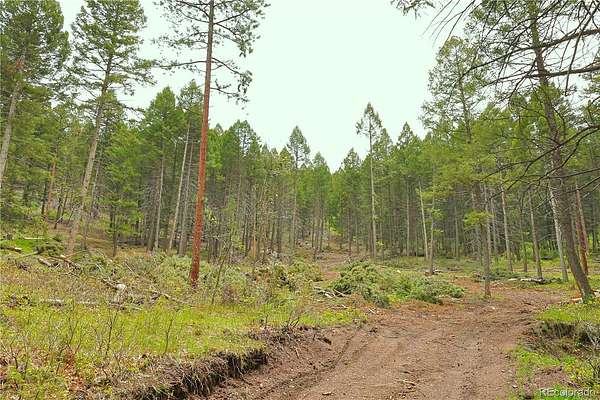 4.45 Acres of Residential Land for Sale in Larkspur, Colorado