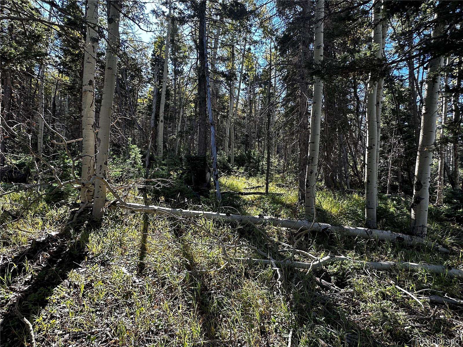 1.9 Acres of Land for Sale in Fort Garland, Colorado