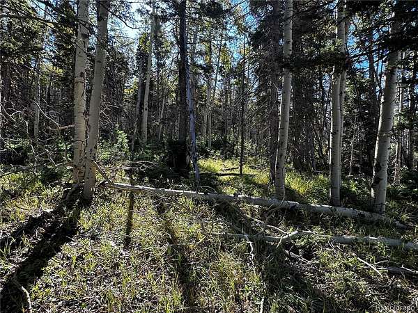 1.9 Acres of Land for Sale in Fort Garland, Colorado