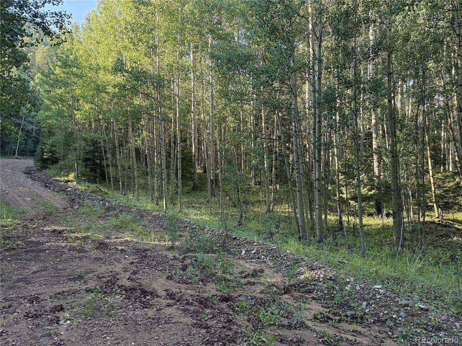 5 Acres of Land for Sale in Fort Garland, Colorado