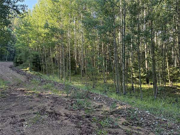 5 Acres of Land for Sale in Fort Garland, Colorado