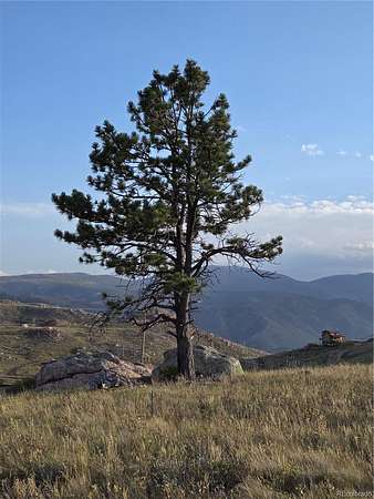 4.38 Acres of Residential Land for Sale in Livermore, Colorado