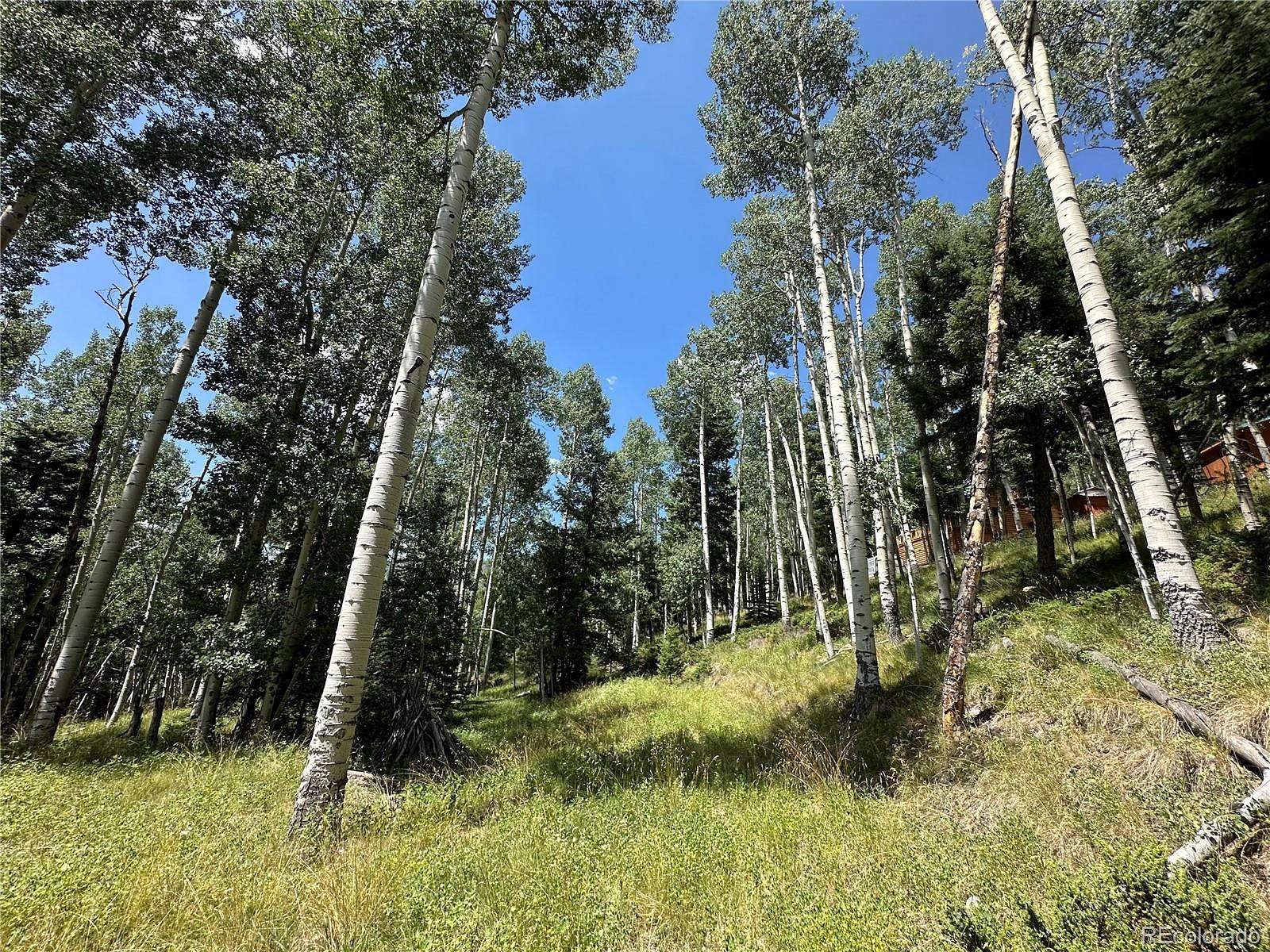 1 Acre of Residential Land for Sale in Jasper, Colorado