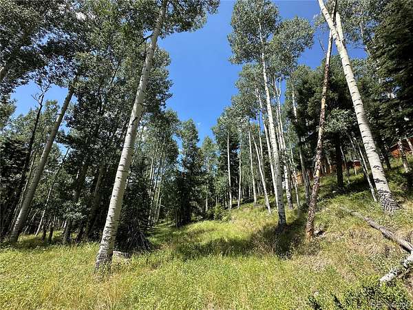 1 Acre of Residential Land for Sale in Jasper, Colorado