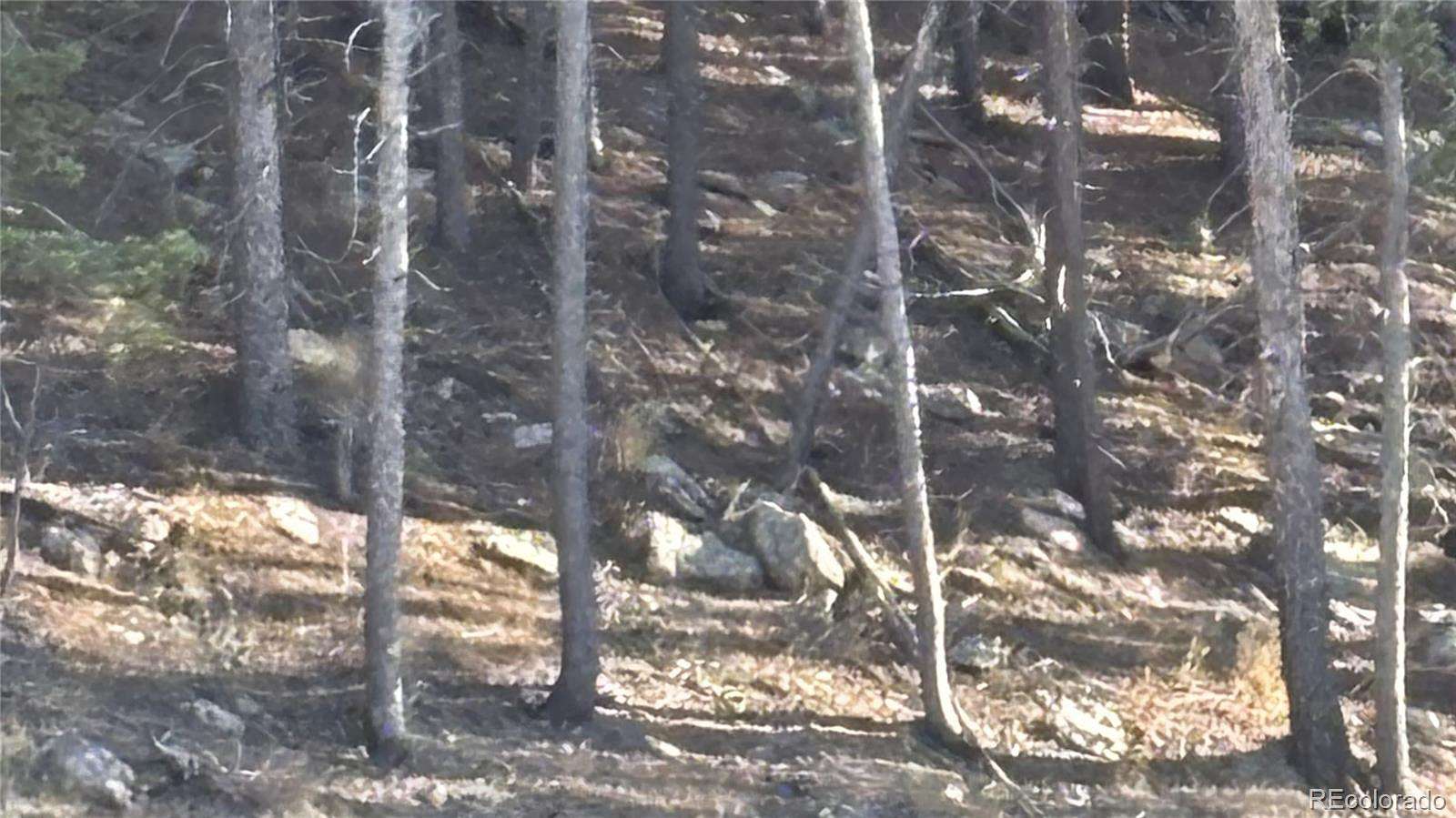 3.65 Acres of Land for Sale in Black Hawk, Colorado