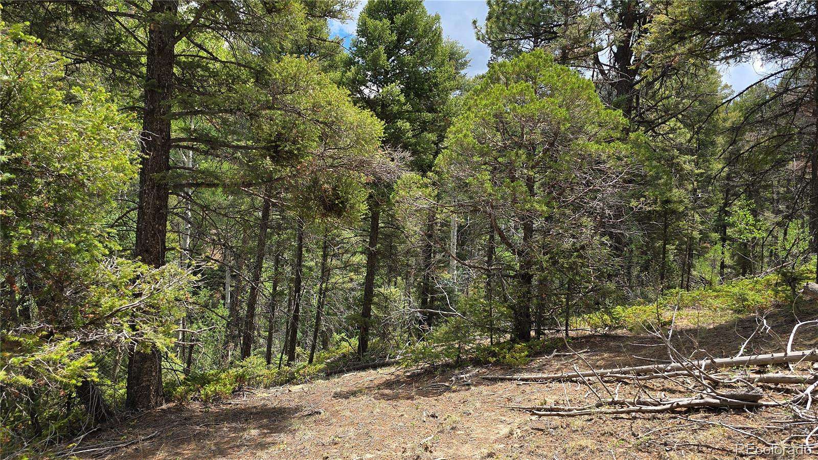 5.64 Acres of Residential Land for Sale in Fort Garland, Colorado