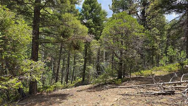 5.64 Acres of Residential Land for Sale in Fort Garland, Colorado