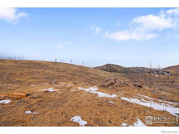 55.6 Acres of Agricultural & Residential Land for Sale in Bellvue, Colorado