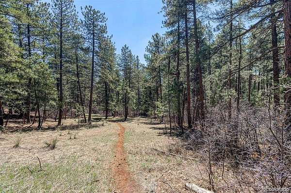 1 Acre of Residential Land for Sale in Larkspur, Colorado