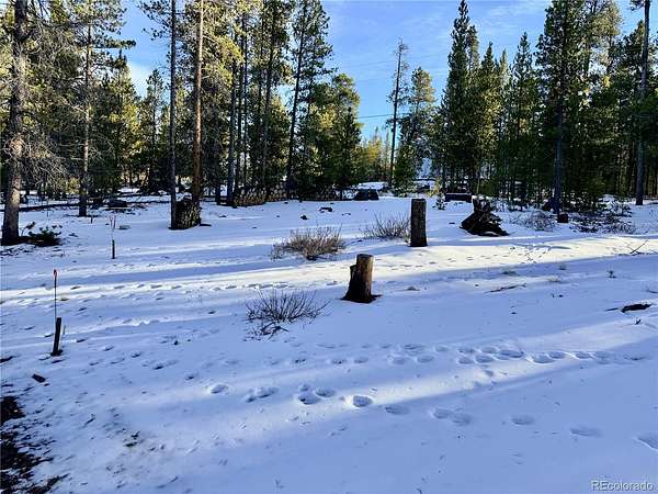 0.3 Acres of Residential Land for Sale in Twin Lakes, Colorado