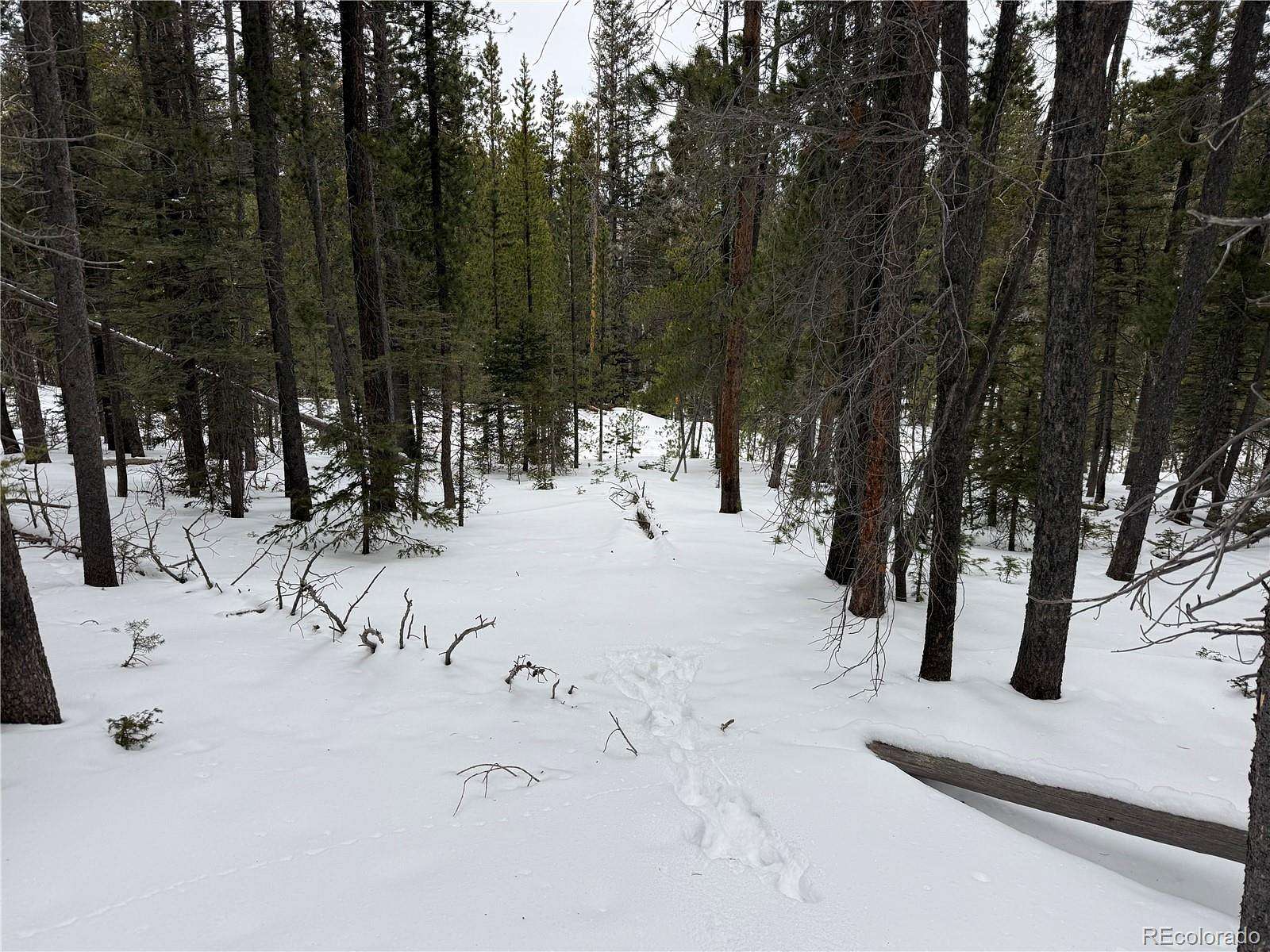 1.4 Acres of Residential Land for Sale in Fort Garland, Colorado