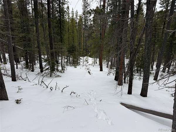 1.4 Acres of Residential Land for Sale in Fort Garland, Colorado