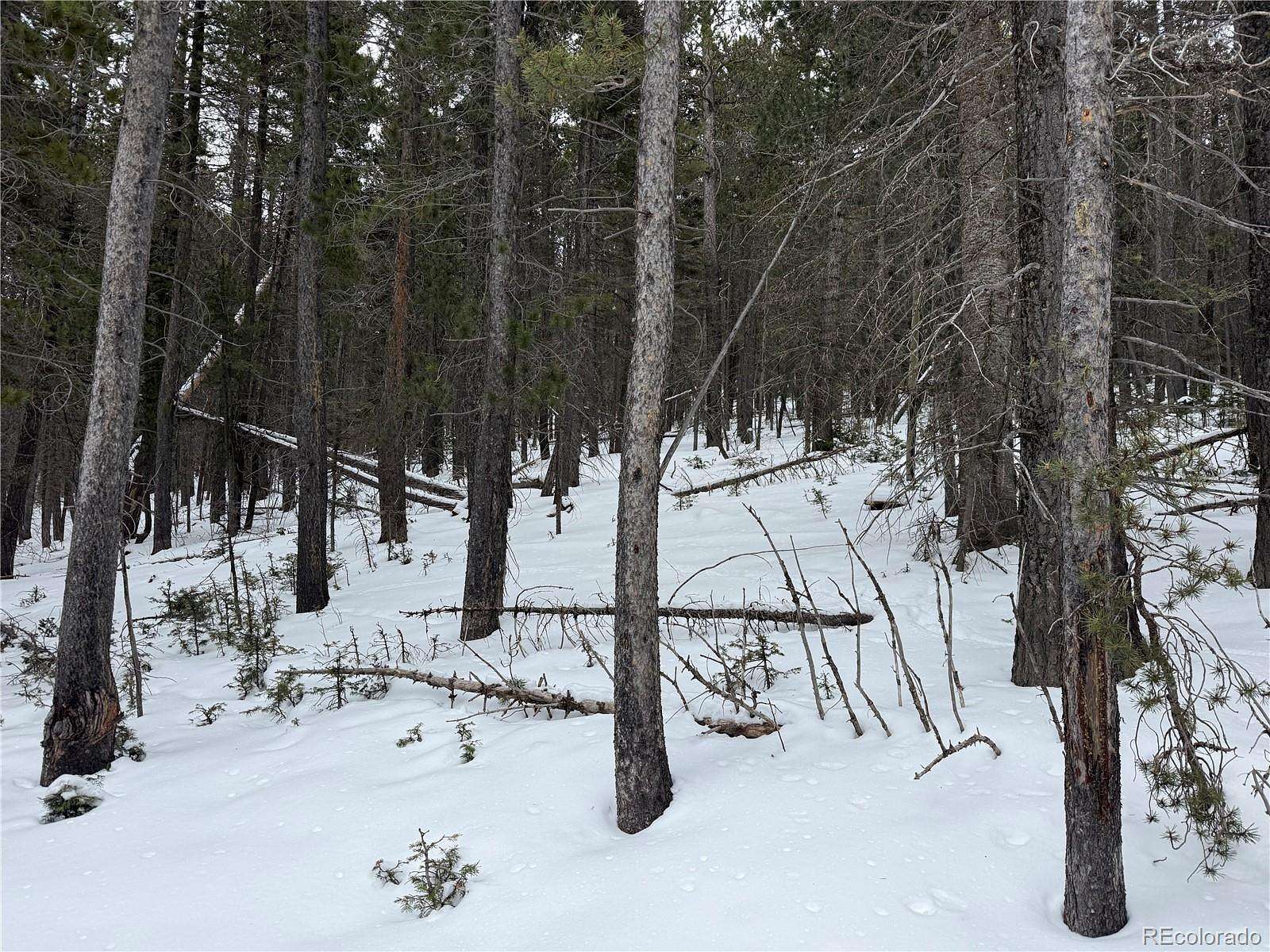 4.69 Acres of Residential Land for Sale in Fort Garland, Colorado