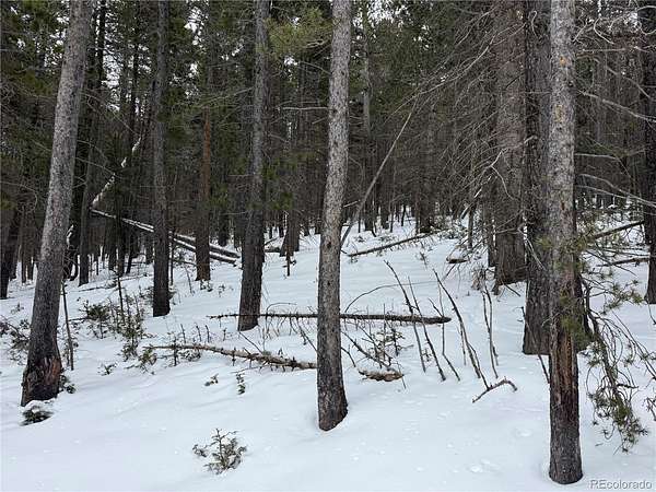 4.69 Acres of Residential Land for Sale in Fort Garland, Colorado