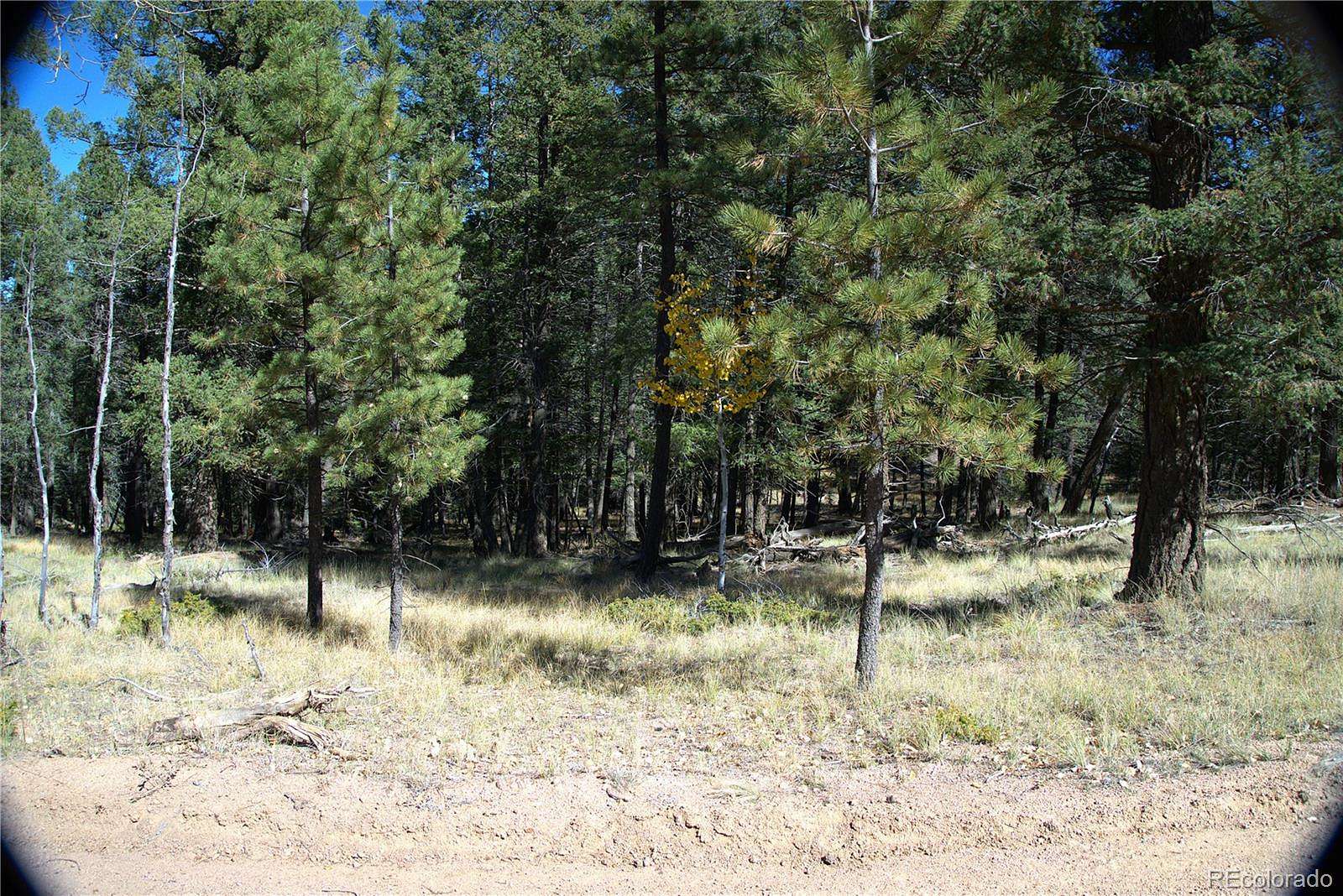0.57 Acres of Residential Land for Sale in Florissant, Colorado