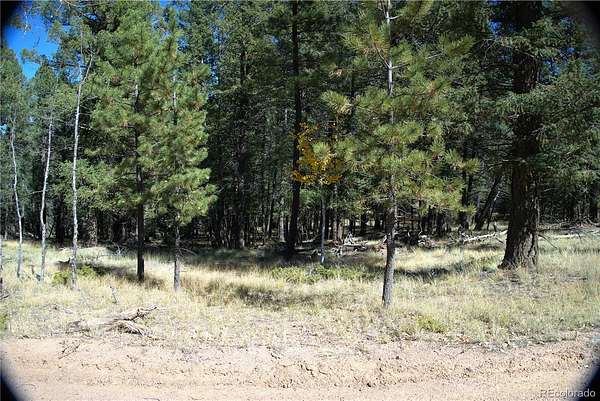 0.57 Acres of Residential Land for Sale in Florissant, Colorado