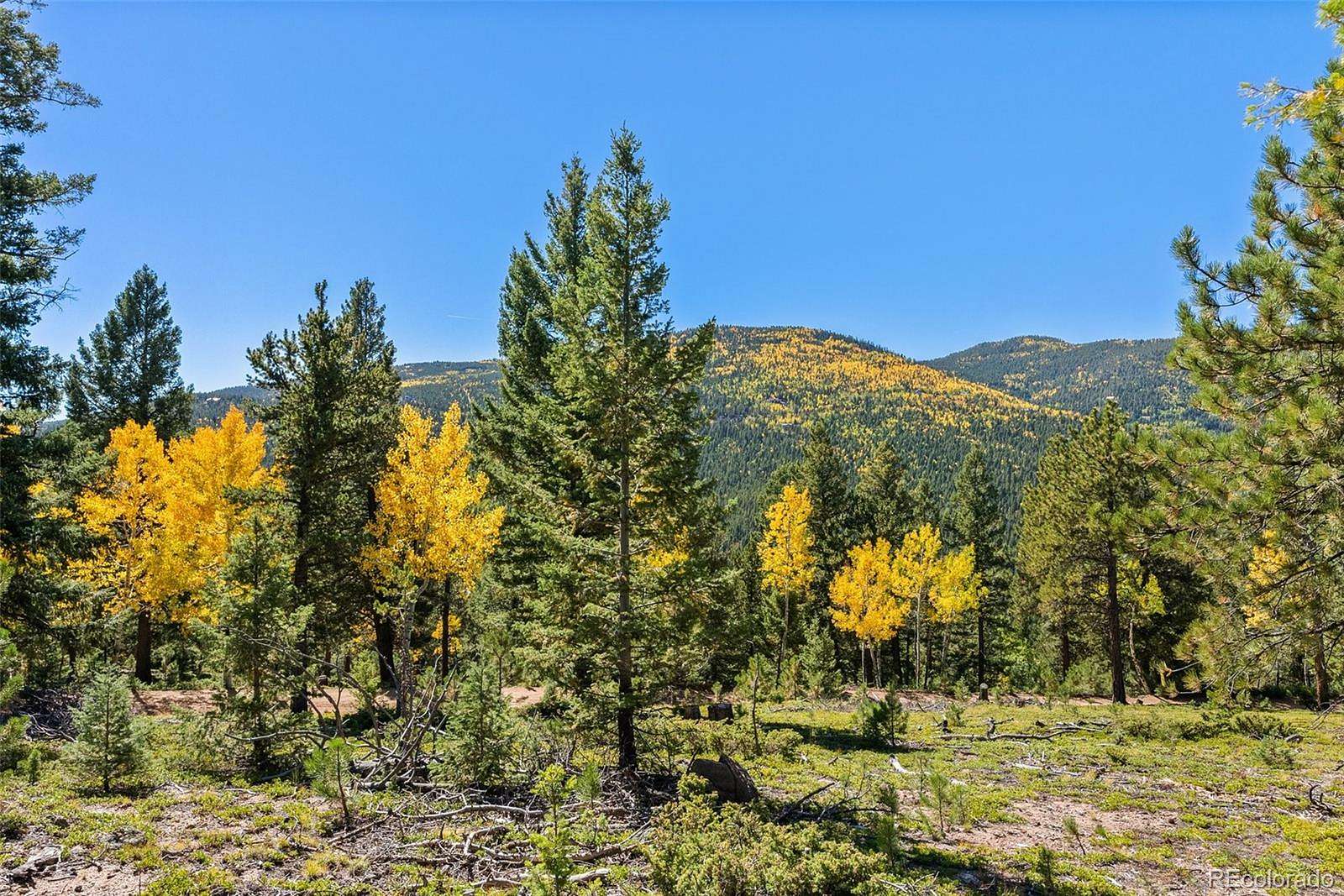5 Acres of Residential Land for Sale in Conifer, Colorado
