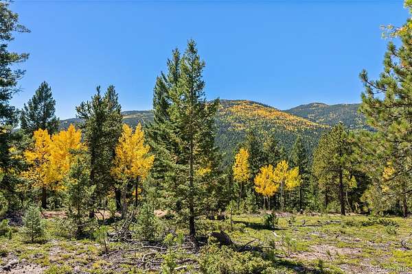 5 Acres of Residential Land for Sale in Conifer, Colorado