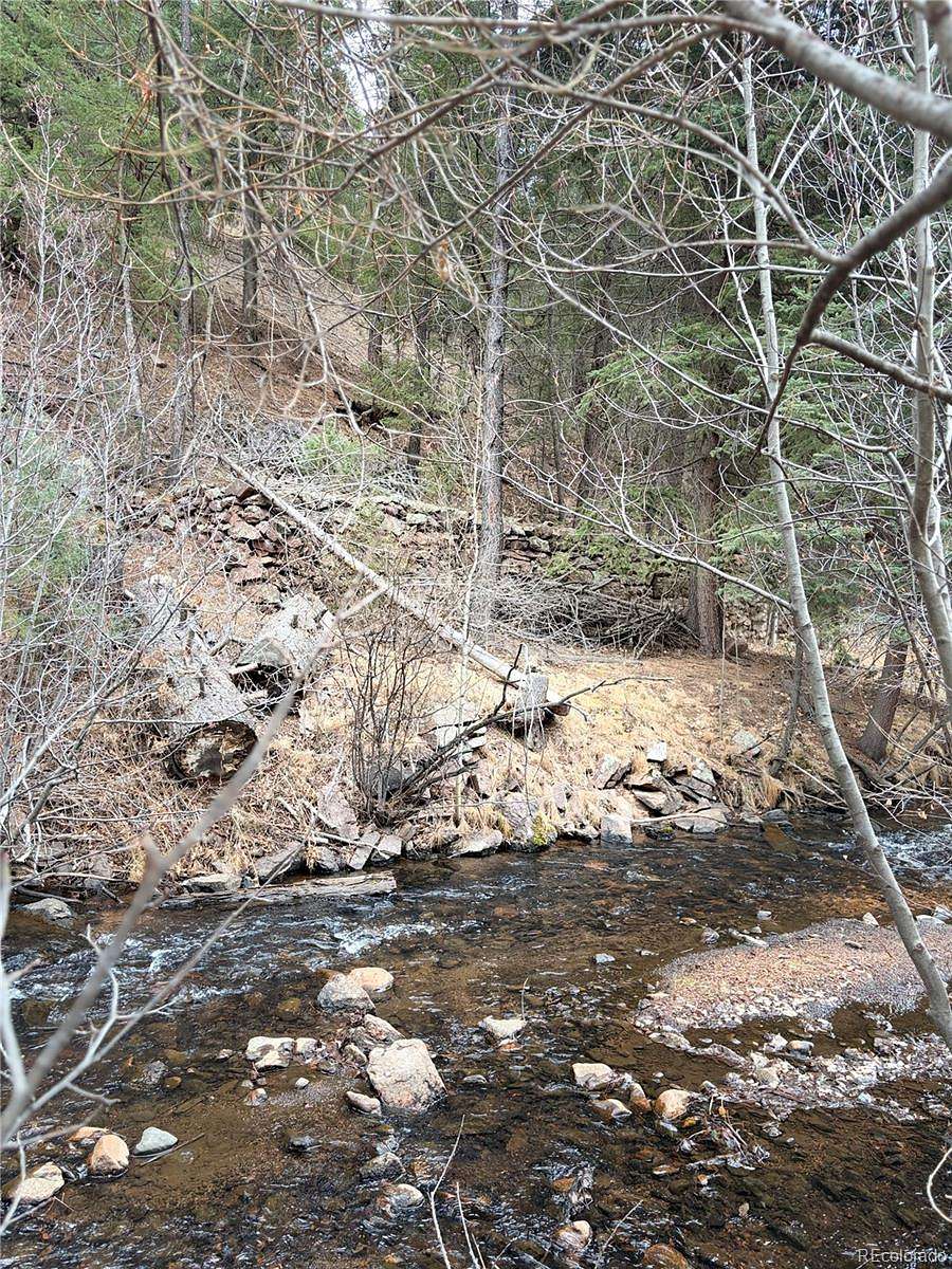 1.2 Acres of Land for Sale in Pine Grove, Colorado