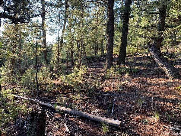 1.6 Acres of Residential Land for Sale in Pine Grove, Colorado