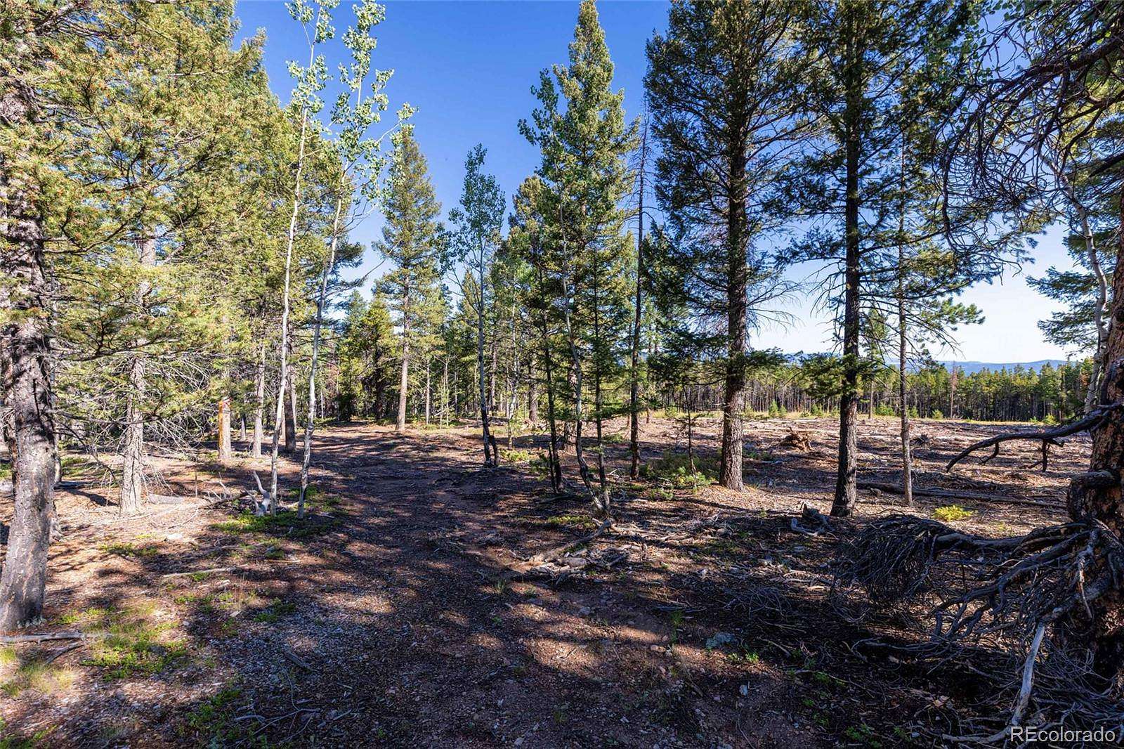 5 Acres of Residential Land for Sale in Conifer, Colorado