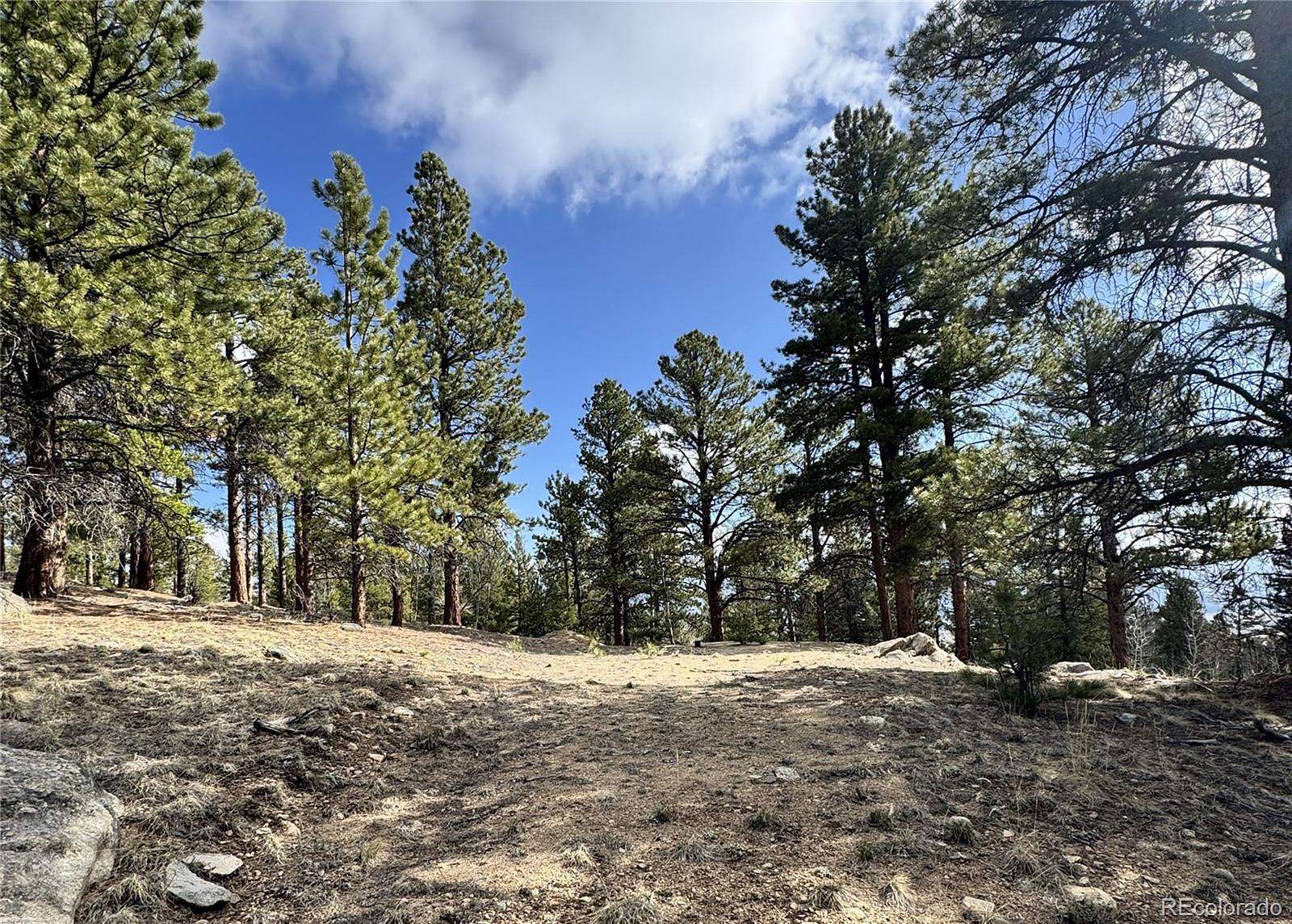1.88 Acres of Residential Land for Sale in Buena Vista, Colorado