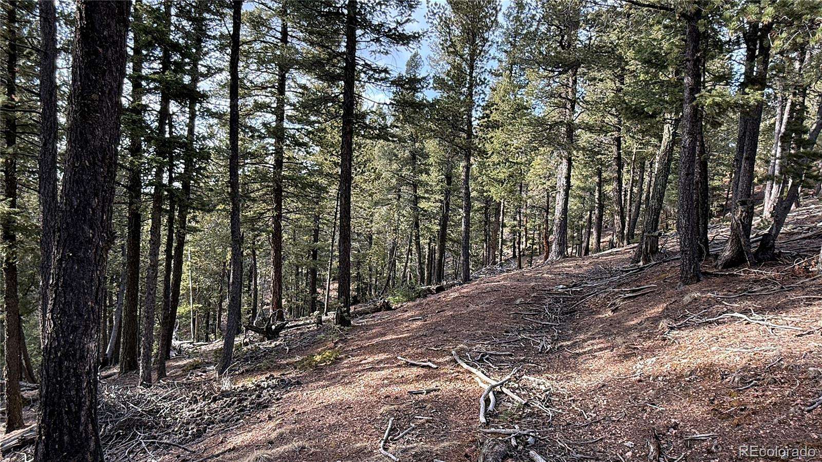 3.56 Acres of Residential Land for Sale in Divide, Colorado