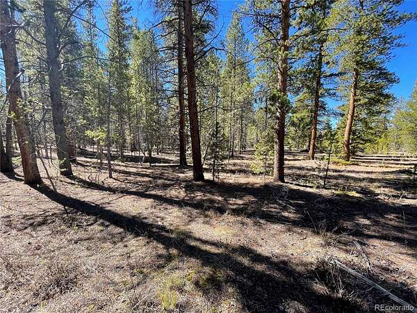 0.41 Acres of Residential Land for Sale in Leadville, Colorado