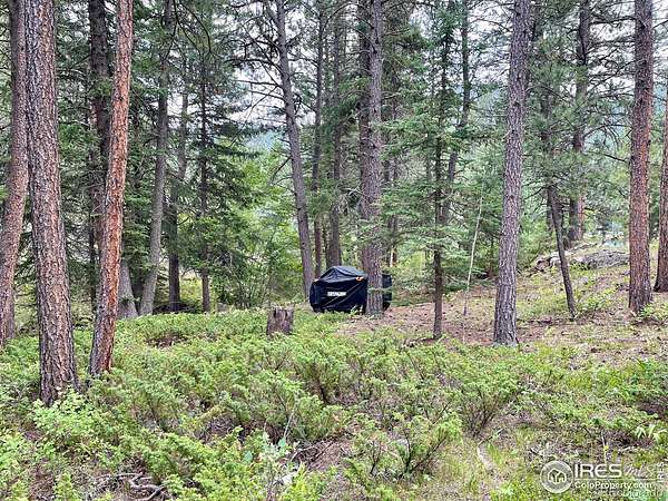 0.51 Acres of Land for Sale in Lyons, Colorado