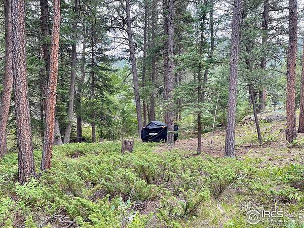 0.75 Acres of Land for Sale in Lyons, Colorado