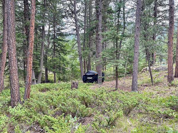 0.75 Acres of Land for Sale in Lyons, Colorado