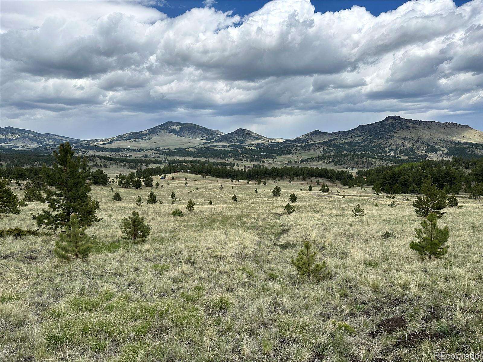 35 Acres of Recreational & Residential Land for Sale in Guffey, Colorado