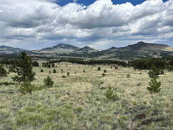 35 Acres of Recreational & Residential Land for Sale in Guffey, Colorado