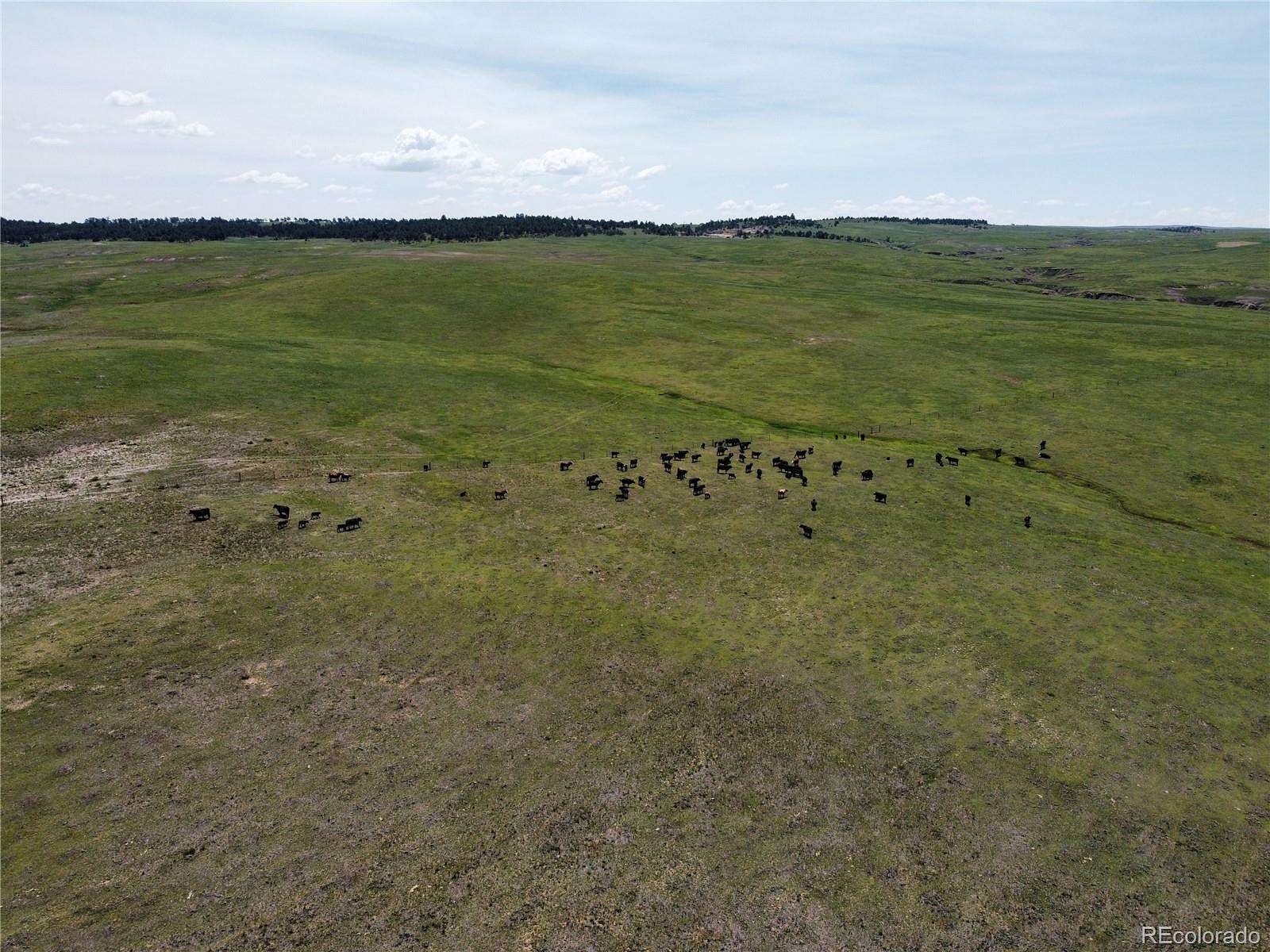 35.2 Acres of Land for Sale in Calhan, Colorado