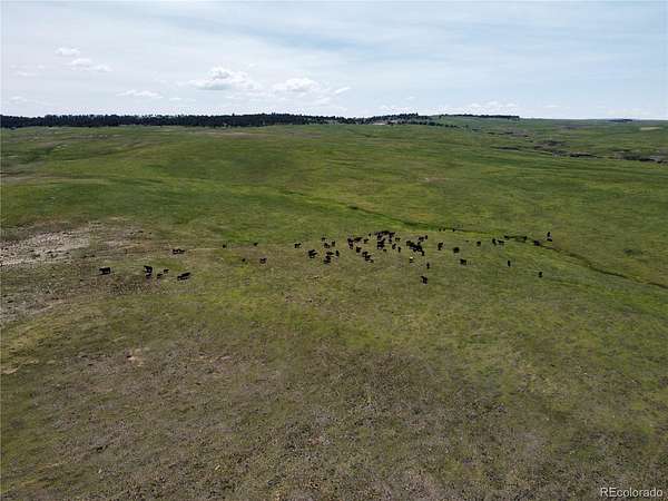 35.2 Acres of Land for Sale in Calhan, Colorado