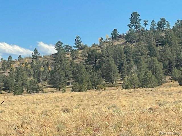 5.1 Acres of Residential Land for Sale in Hartsel, Colorado