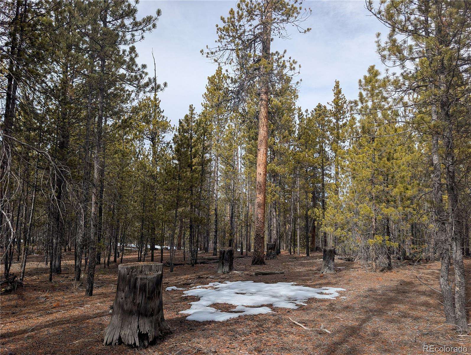 0.3 Acres of Residential Land for Sale in Twin Lakes, Colorado