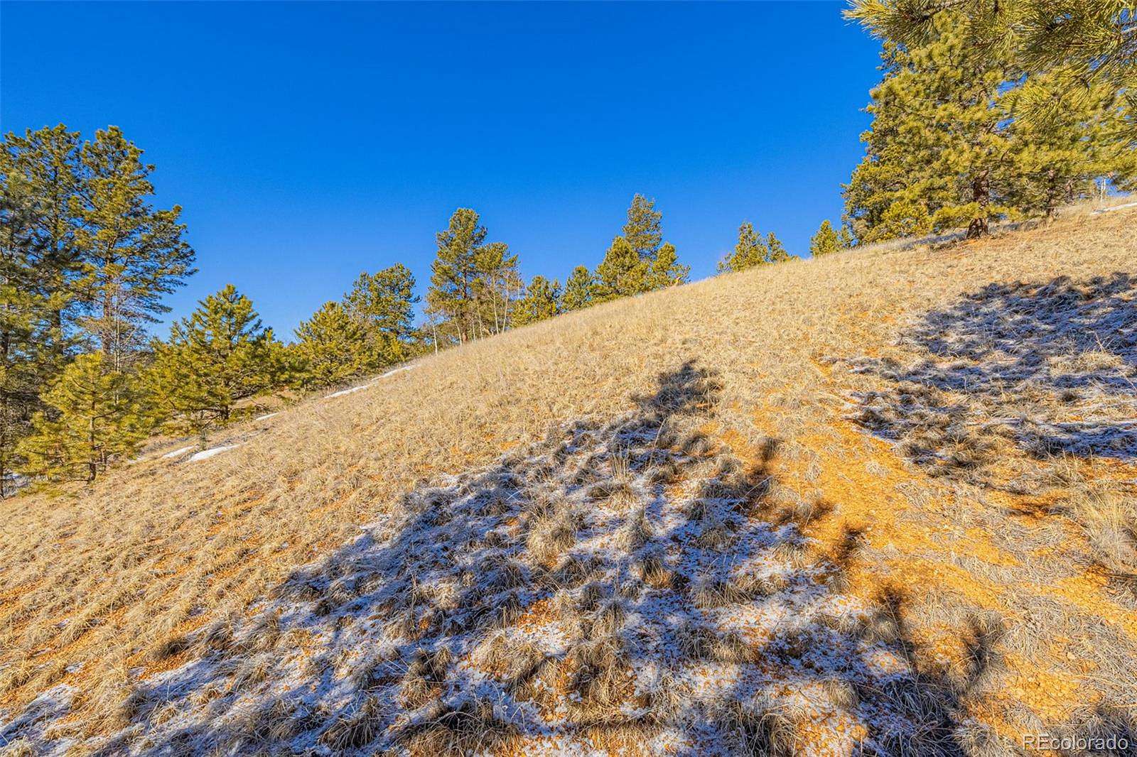 4.27 Acres of Residential Land for Sale in Florissant, Colorado