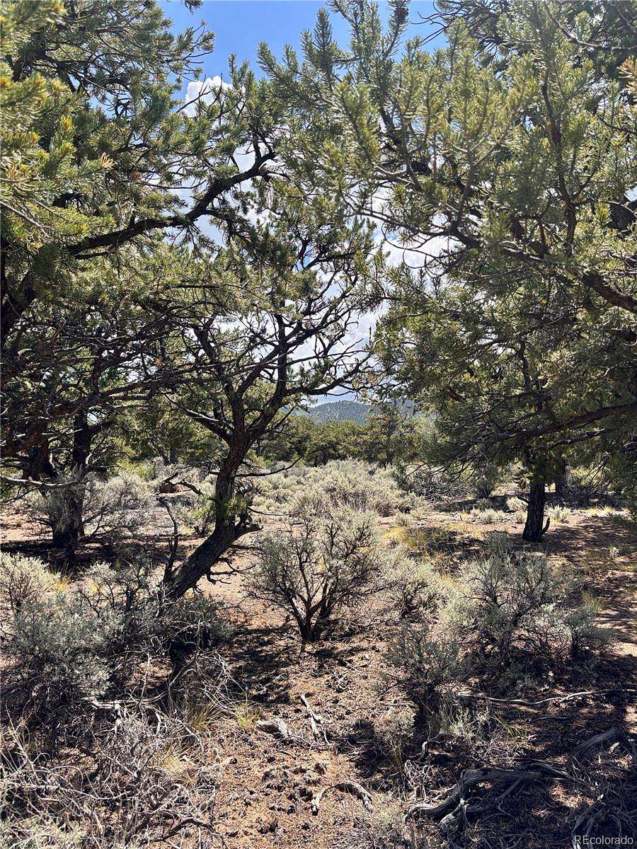 5 Acres of Residential Land for Sale in Fort Garland, Colorado