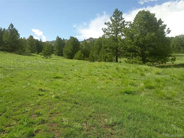 139 Acres of Land for Sale in Guffey, Colorado