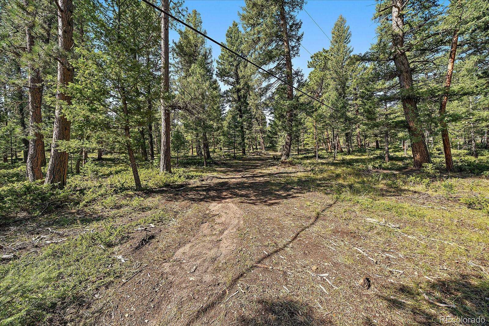 5 Acres of Land for Sale in Conifer, Colorado