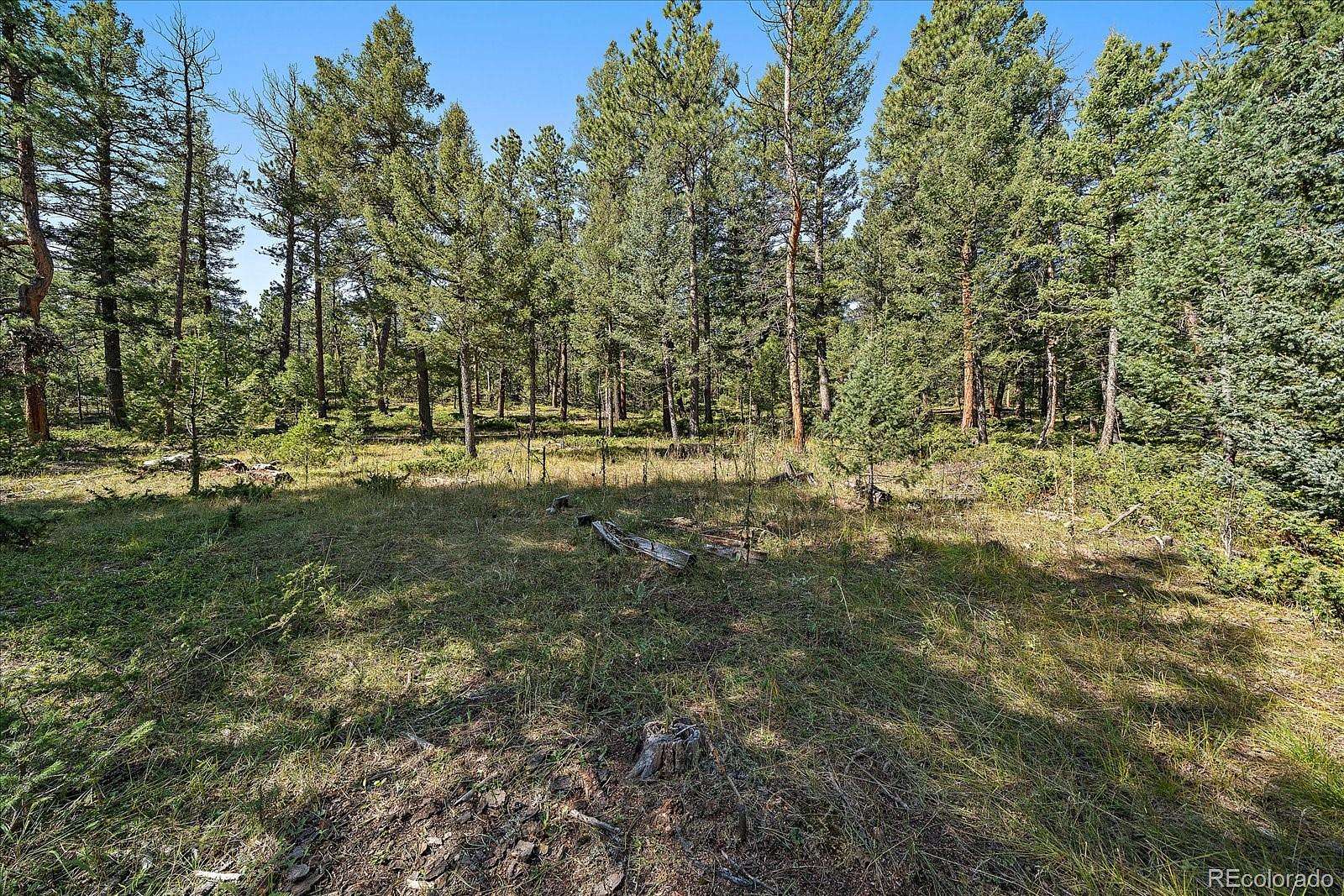 5 Acres of Land for Sale in Conifer, Colorado