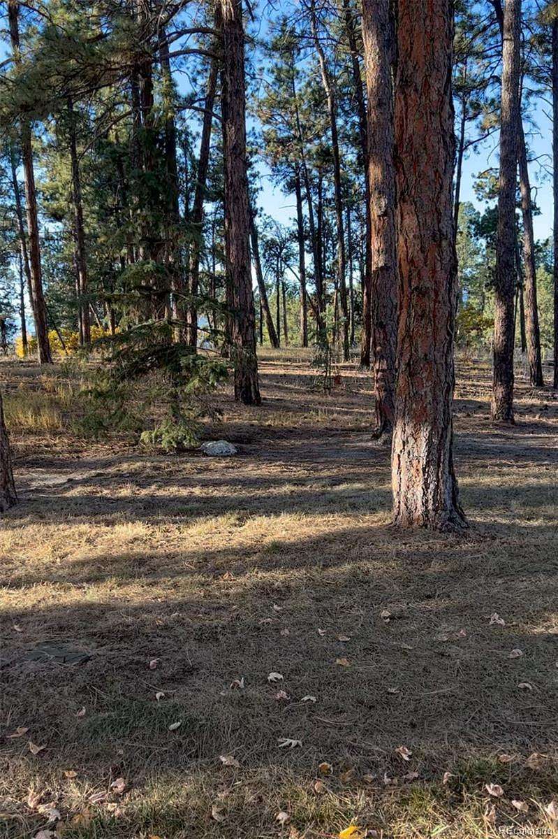 35 Acres of Recreational & Residential Land for Sale in Weston, Colorado