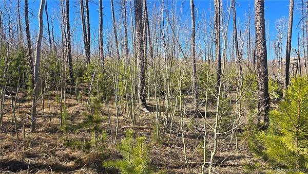 1.33 Acres of Residential Land for Sale in Fort Garland, Colorado