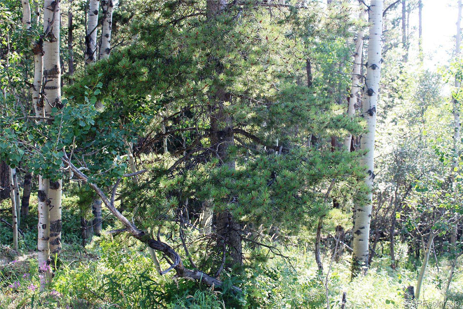 1 Acre of Residential Land for Sale in Black Hawk, Colorado