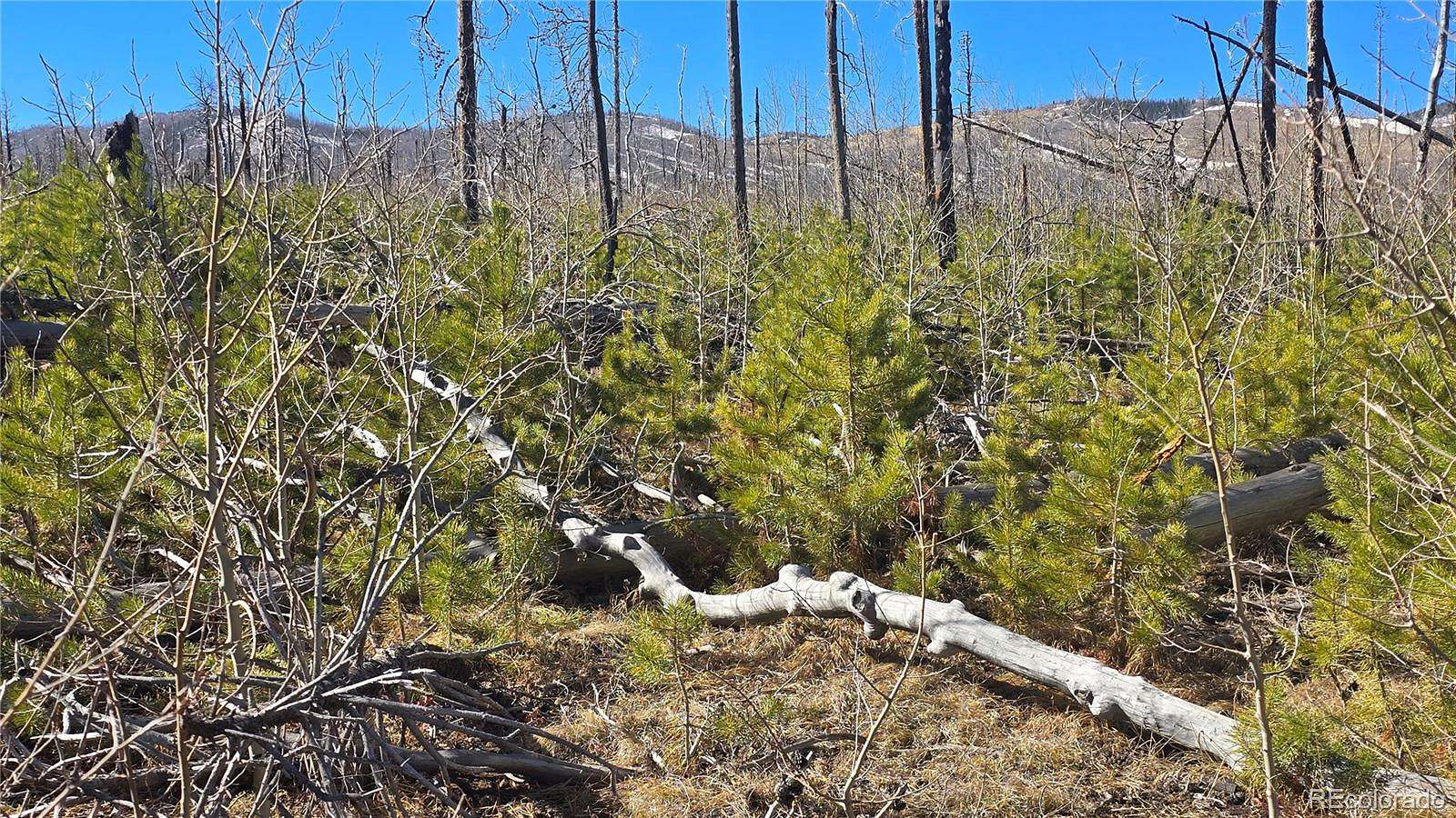 1.39 Acres of Residential Land for Sale in Fort Garland, Colorado