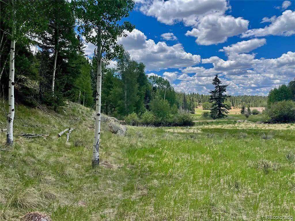 0.74 Acres of Residential Land for Sale in Florissant, Colorado