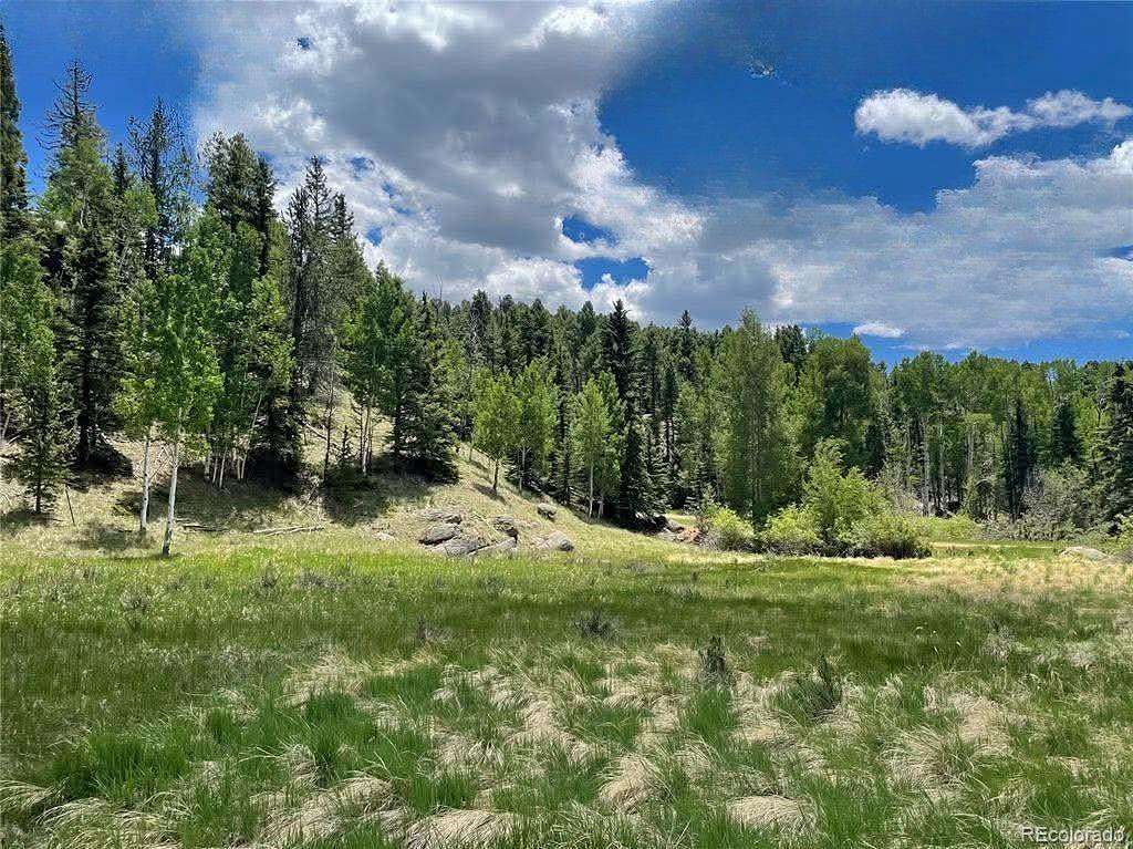 0.74 Acres of Residential Land for Sale in Florissant, Colorado