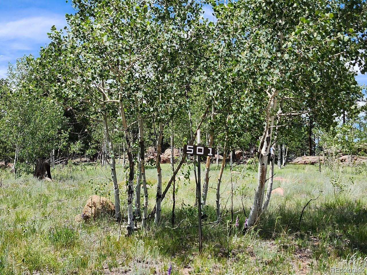 1.3 Acres of Land for Sale in Florissant, Colorado