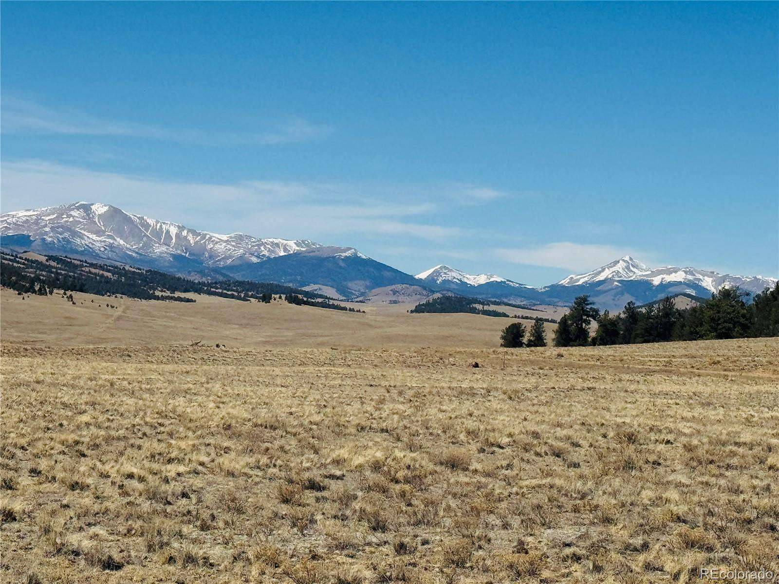 5 Acres of Residential Land for Sale in Hartsel, Colorado